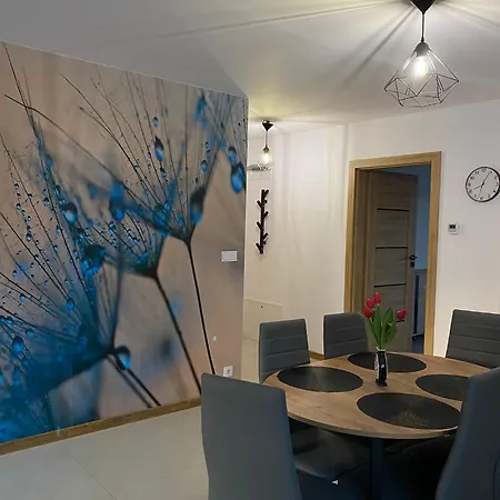 Wczasy Turkusowy Appartement *