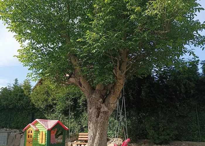 Wczasy Turkusowy * 흐미엘노